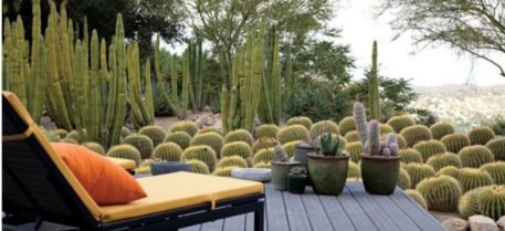 PROJECTS: Landscaping